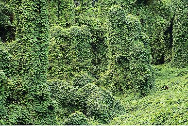 CDPR总监：工作室最优秀开发者中很多都是Mod作者