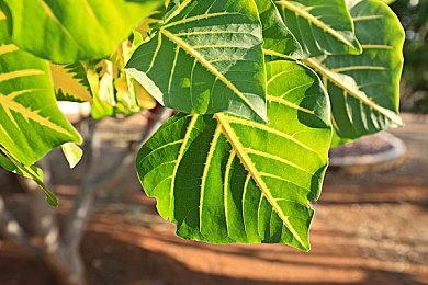 今年的科隆游戏展 公布的新作将非常少